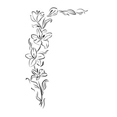 Corner floral ornament with lilies in elegant whimsical quick sketch style. Vintage vector line art illustration great for invitations, wedding decor, stationery, packaging, branding, birthday cards