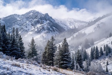 Fototapeta premium Snowy Mountains Idaho. Winter Wonderland Landscape with Snowfall and Christmas Background