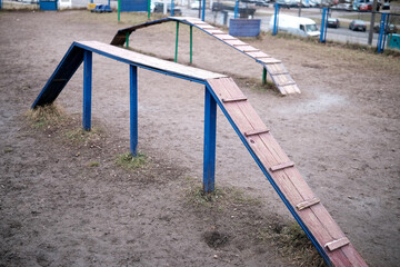 Naklejka premium Dog Training Facilities