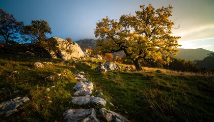 Autumnal Landscape with Stone Path and Golden Trees.