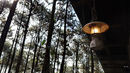 Glowing lantern hangs from the roof of a cabin, illuminating the surrounding pine forest with a...