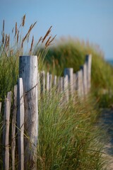 Rustic wooden fence bordering a grassy coastal path