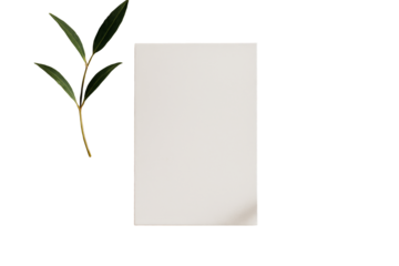 Green leafy plant branch and blank white card isolated on white background, clean layout concept for botanical design template. Ai generative