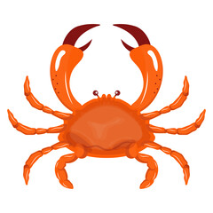 Crab Illustration