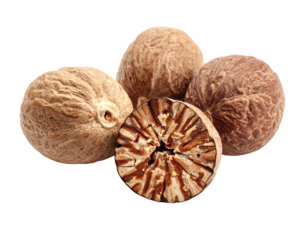 Whole Dried Nutmeg Isolated on White Background