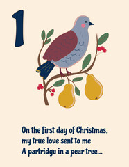 Charming partridge sitting on a pear tree branch with fruit, symbolizing the first day of Christmas. Vector art.