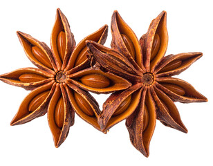 Dried Star Anise Spice, Isolated on White Background