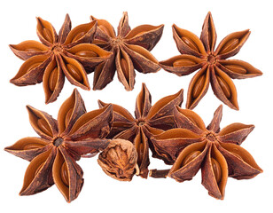 Dried Star Anise Spice Isolated on White Background