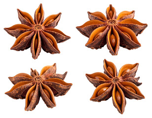 Dried Star Anise Spice Isolated on White Background