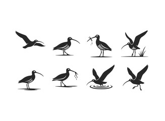 Fototapeta premium Collection of Stylized Shorebird Silhouettes.