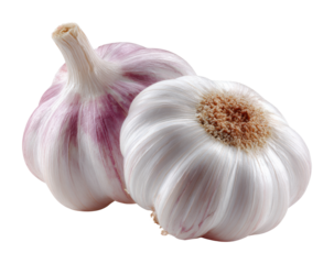 Garlic harvest organic farm food natural isolated on transparent background