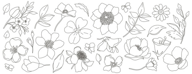 Simple  hand drawn flowers, leaves and branches in line art style. Trendy vector botanical sketch illustration on white background