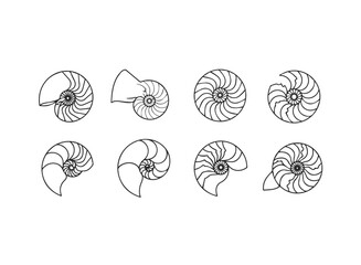 Nautilus Shell CrossSection Line Art Collection 1.