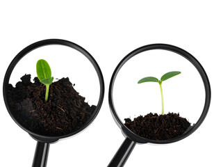 Two Variations of Magnifying Glass Examining Seedling in Soil, isolated on transparent background