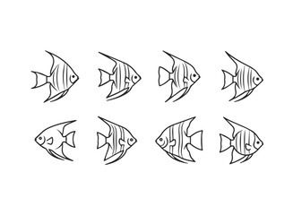 Set of Eight Angelfish Illustrations.