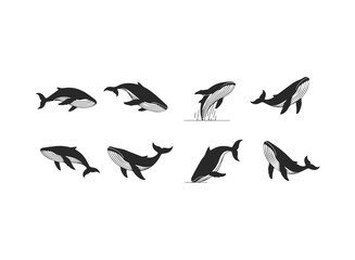 Set of Stylized Whale Silhouettes in Various Poses.
