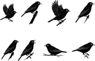 Black Bird Silhouette Vector Collection Featuring Flying, Perched, and Singing Birds for Wildlife, Nature, and Ornithology Design Projects