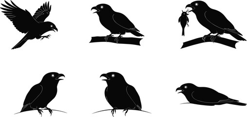 Set of parrot and bird silhouettes in various poses including flying, perched, eating, and resting for vector art design use.