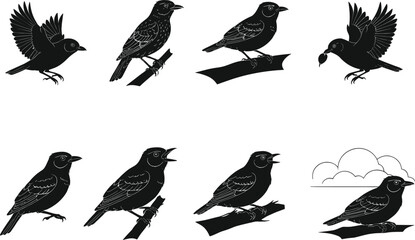 Silhouette Vector Set of Birds Perched, Flying, Singing, and Feeding on Branches with Isolated Elements for Nature Illustrations