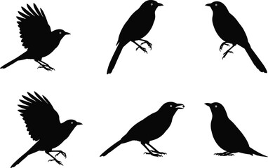 Silhouette vector set of flying and perched birds in various poses for nature, wildlife, and ornithology themed design projects