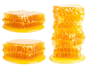 Natural Sweetness Bundle of Honeycomb Variations isolated on transparent background