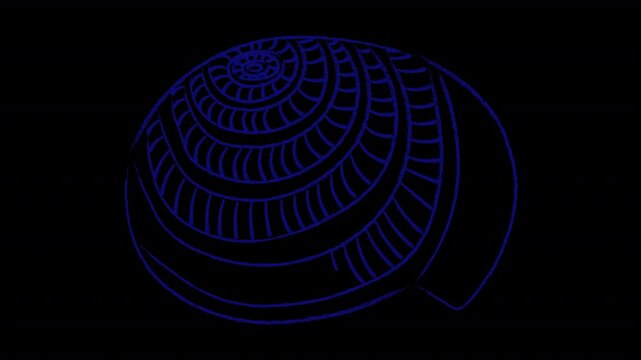 Animated coastal shell in a minimalist style with a dry pastel effect. Alpha channel