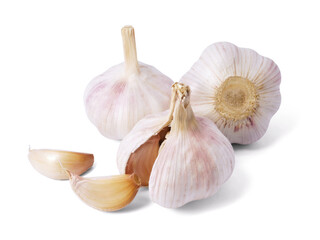 Garlic bulb isolated on white background. Selective Focus