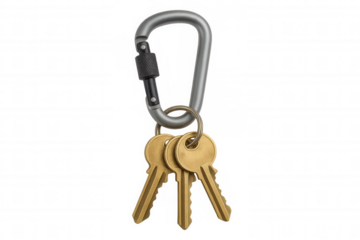 Metal carabiner securing a bunch of brass keys, symbolizing access, security, and ownership on transparent background