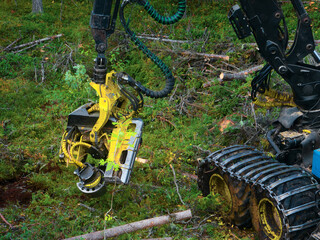 Aerial view of timber harvesting machinery operating in a dense forest clearing during daytime © nordroden