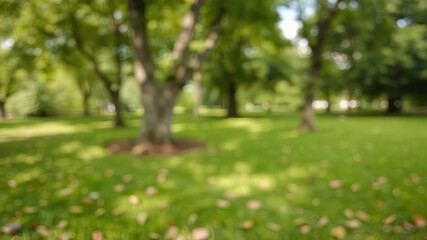 An out of focus view of a beautiful green park on a bright day showcases lush grass and mature trees offe a serene and peaceful environment outdoors.