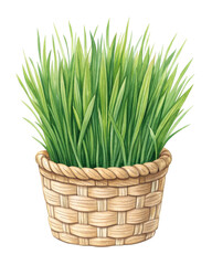 Basket of lush green grass, watercolor isolated on a transparent background