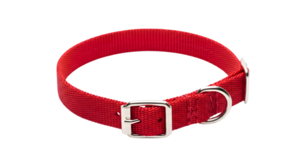 Red Dog Collar Isolated on White Background