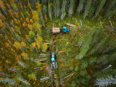 Timber harvesting in a forested area using advanced machinery during autumn - Powered by Adobe
