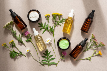 Various skin care products flat lay in sunlight with wild flowers, serums in dropper bottles, essential oils, creams in jars. Top view.