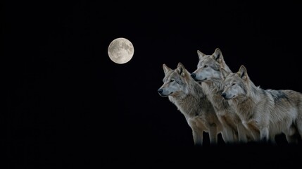 Ethereal trio: Majestic wolves under the serene glow of the moon