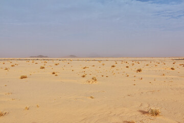 Ben Amera, monolith in Mauritania, Sahara desert, West Africa