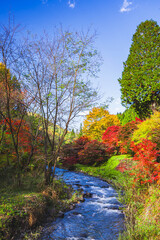 カラフルな秋の早出公園　岡谷市