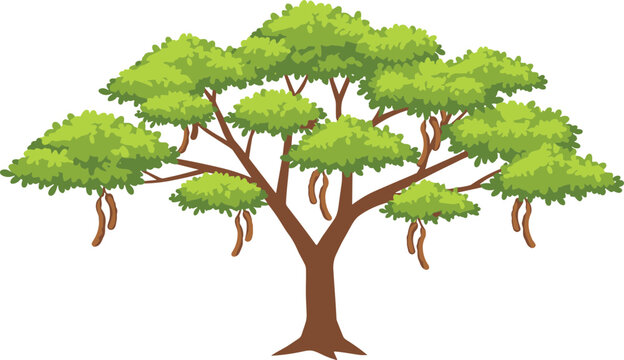 Detailed Cartoon Style Green Leaved Sausage Tree Illustration Isolated