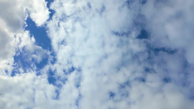 Taken from the ground overlooking endless clouds. The clouds look fluffy and white, and some cast soft shadows on the blue sky below