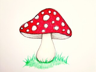 Red and white Amanita muscaria illustration on a light background.