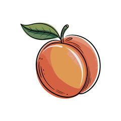 Peach Illustration