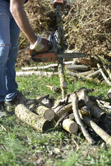 Homme préparant du bois de chauffage dans son jardin à l’automne. Man preparing firewood in his garden during autumn