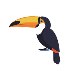 Fototapeta premium Colorful toucan bird with large beak on white background 