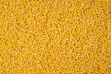 Millet as a texture, background, pattern