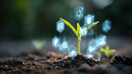 Budding plant sprouts from the soil with digital interface elements displayed, illustrating technology integration and interconnected data, symbolizing innovative progress, future growth, and the...