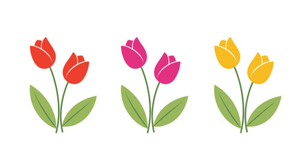 Obraz premium A trio of colorful tulips in red pink and yellow hues.