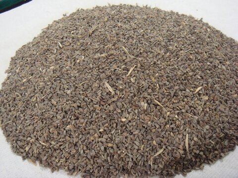 Leonurus japonicus, known as Chung-ul-ja, is a herbal seed from motherwort used in Korean medicine to enhance blood flow, regulate menstruation, and cool liver heat. Photographed in Korea.