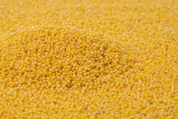 Millet as a texture, background, pattern