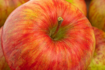 red apples on a yellow background