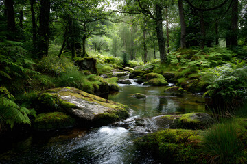 Obraz premium a stream running through a lush green forest